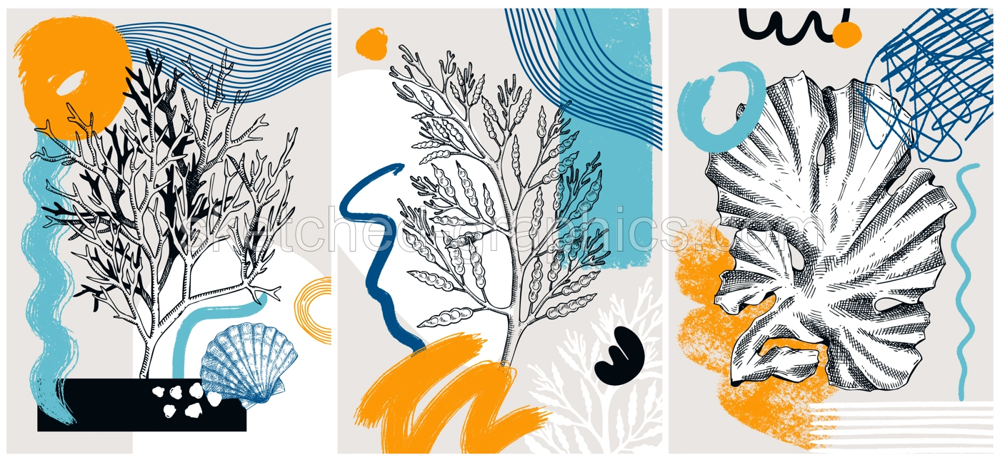 Collage-style seaweeds vector illustration. Sketched underwater plants banner set. Trendy design with botanical elements and geometric shapes. Elegant algae for sketch poster, card, and wall art. Illustration